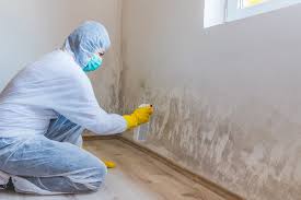 Best Post-Construction Mold Inspection  in Burgaw, NC